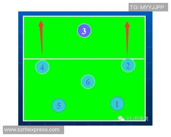 南京排球队节奏对比分析透视球队风格与战术演变